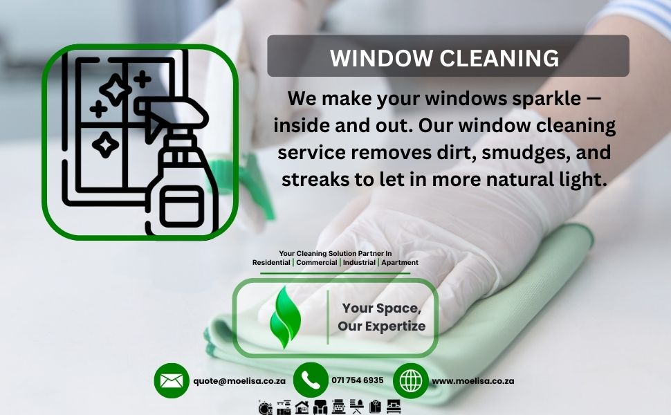Window Cleaning